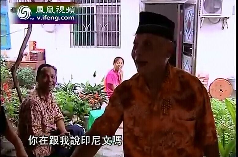 印象岭南 广东英德华侨茶场