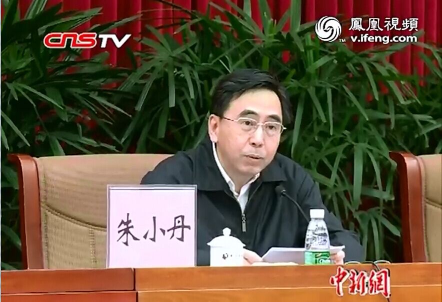 朱小丹要求广东弘扬“粤侨精神”