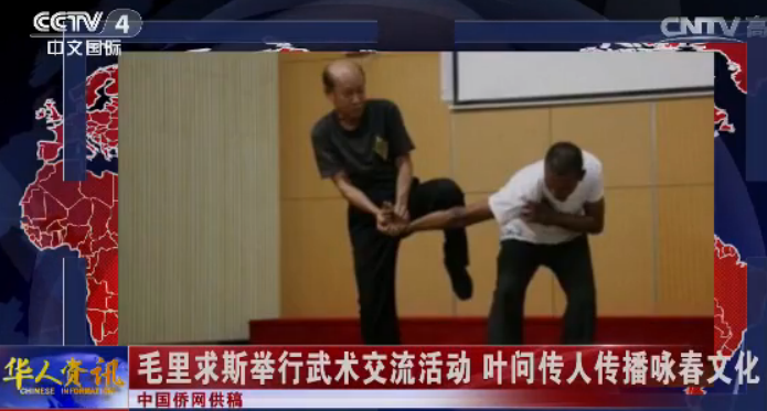 毛里求斯举行武术交流活动 叶问传人传播咏春文化